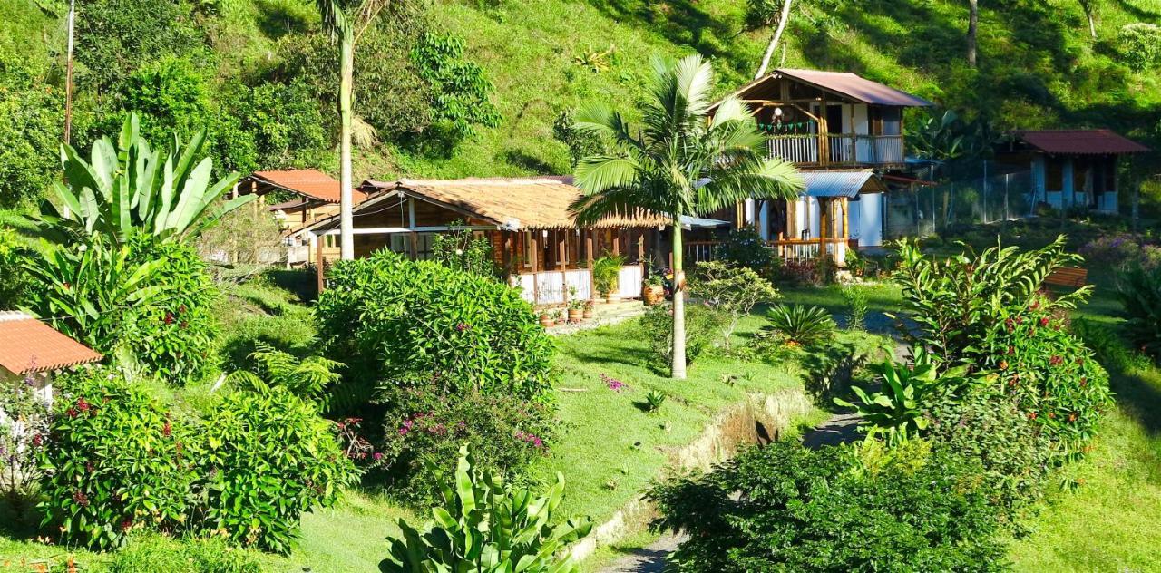 Ecolodge Puente Explanacion Salento Bagian luar foto