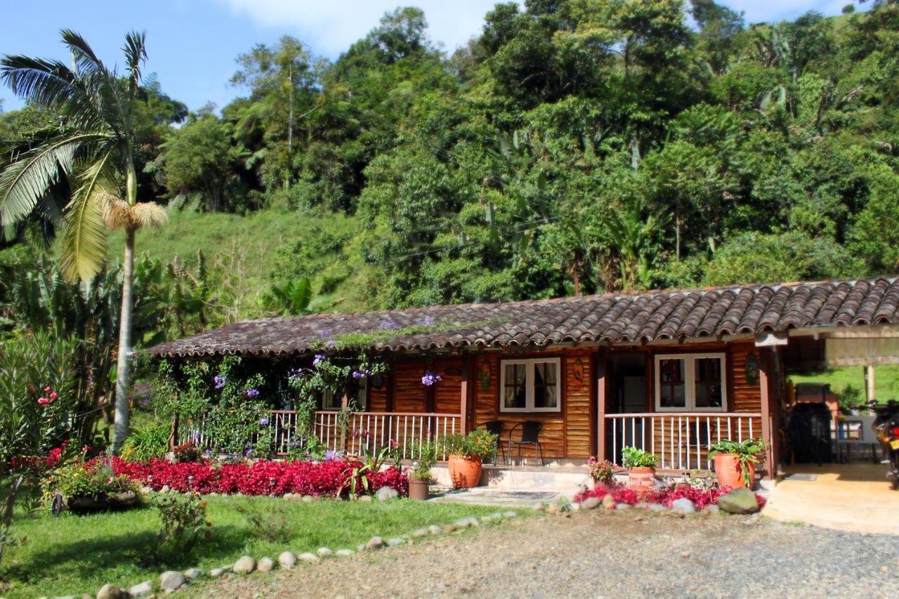 Ecolodge Puente Explanacion Salento Bagian luar foto