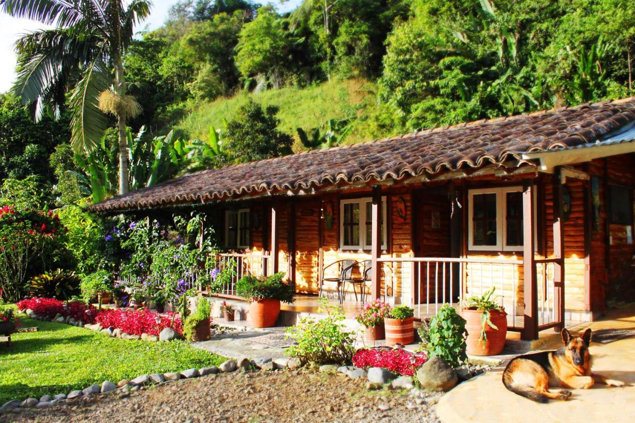 Ecolodge Puente Explanacion Salento Bagian luar foto