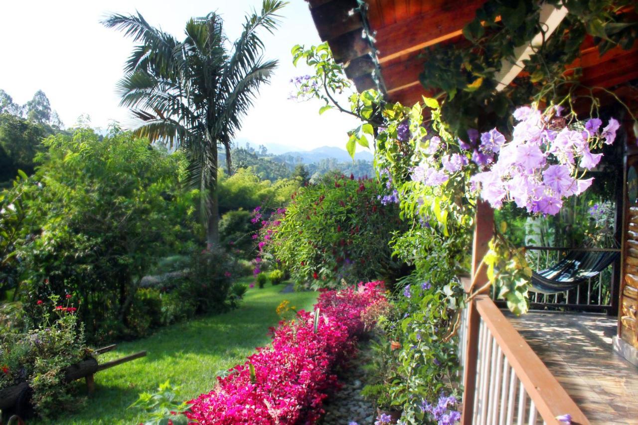 Ecolodge Puente Explanacion Salento Bagian luar foto