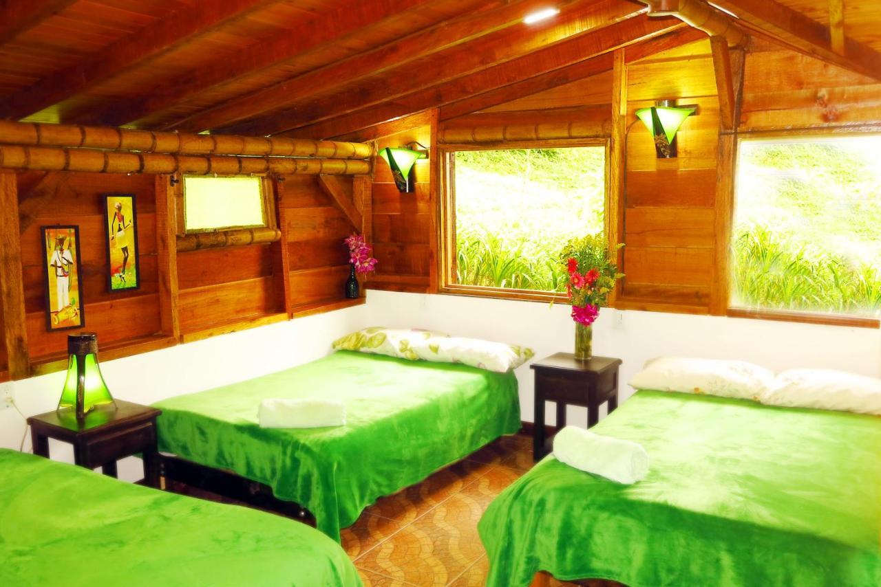 Ecolodge Puente Explanacion Salento Bagian luar foto