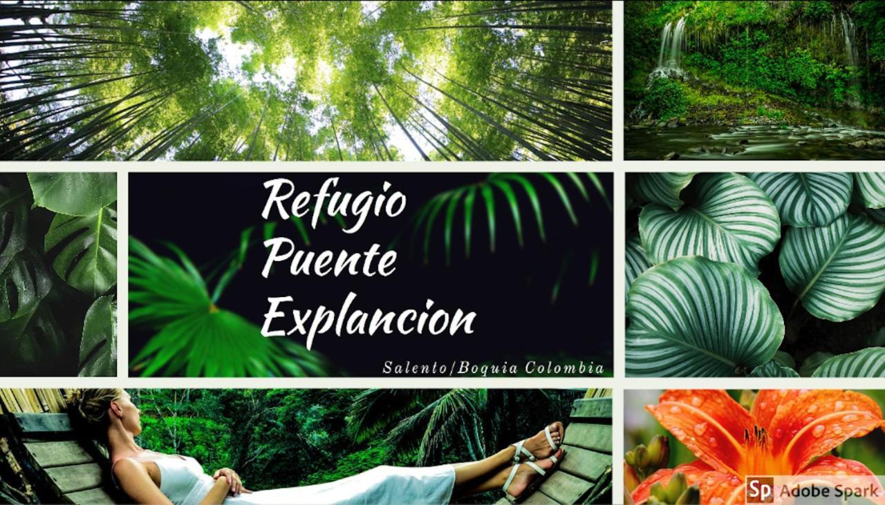 Ecolodge Puente Explanacion Salento Bagian luar foto