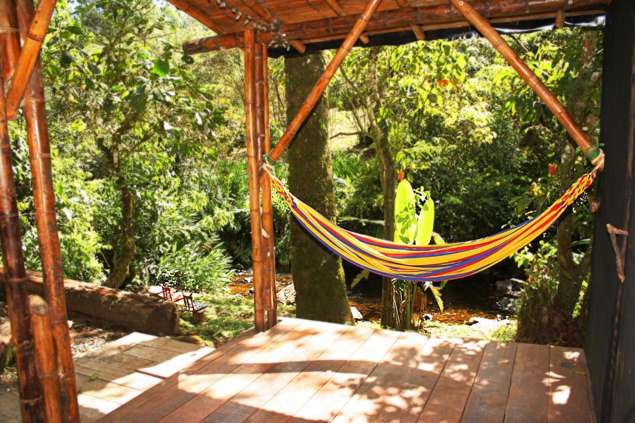 Ecolodge Puente Explanacion Salento Bagian luar foto