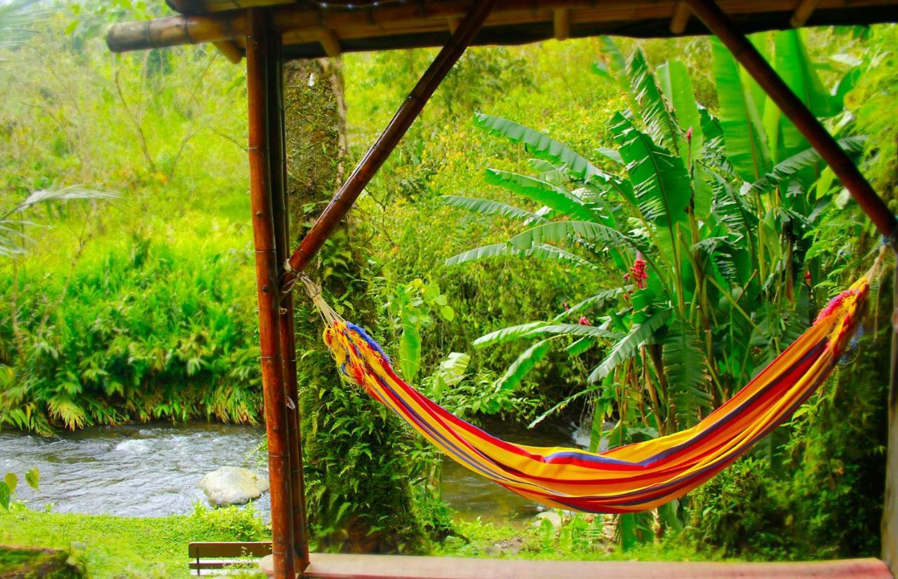 Ecolodge Puente Explanacion Salento Bagian luar foto