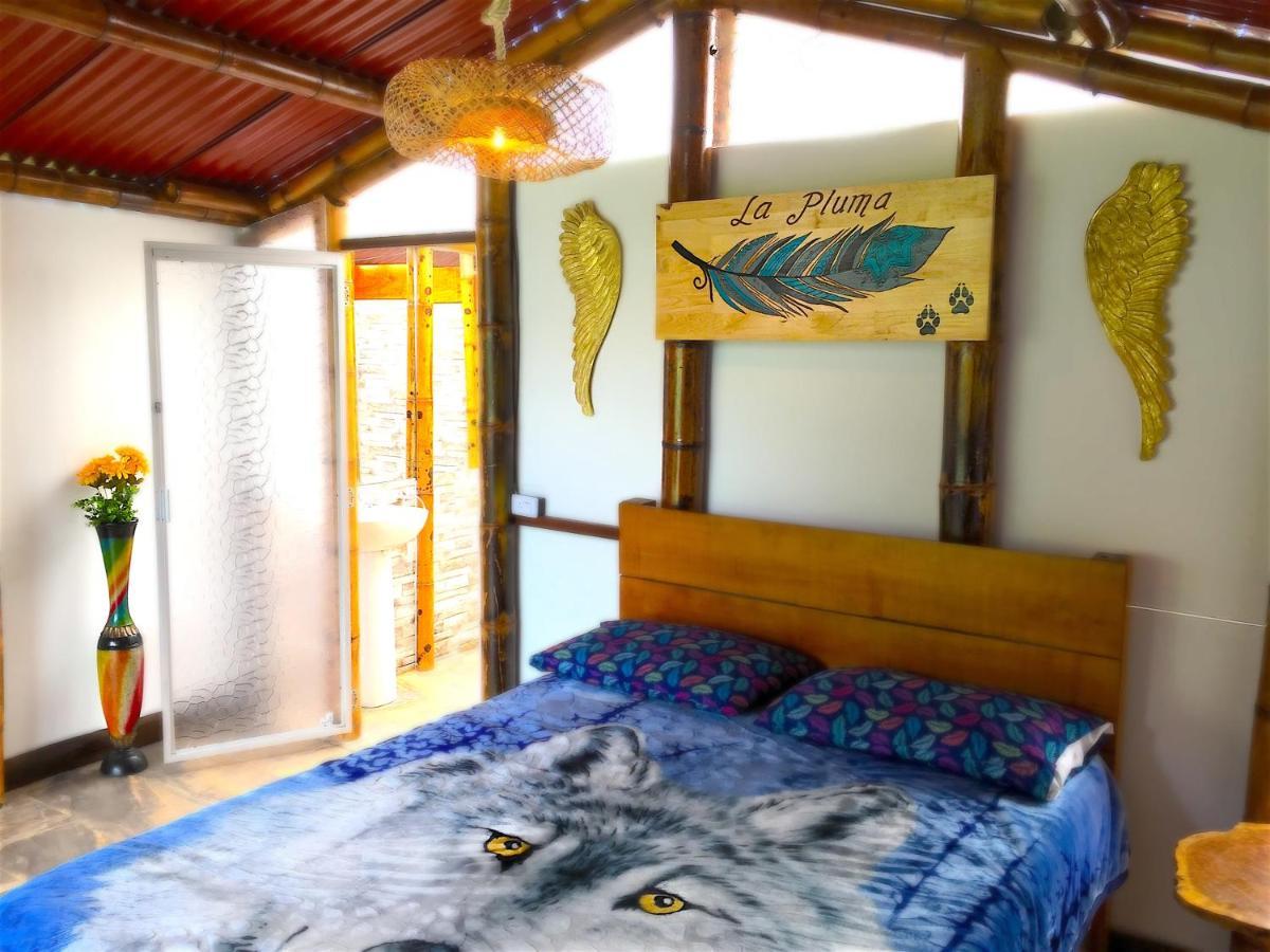 Ecolodge Puente Explanacion Salento Bagian luar foto